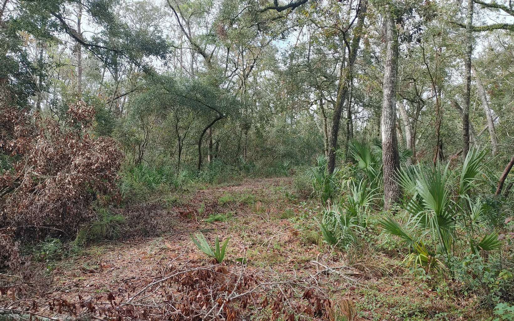 1.16 Acres of Residential Land for Sale in Mayo, Florida