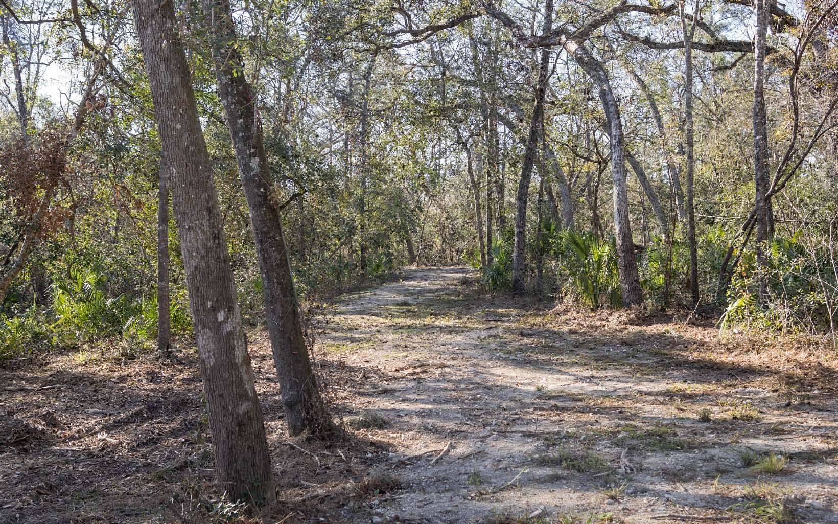 1.16 Acres of Residential Land for Sale in Mayo, Florida