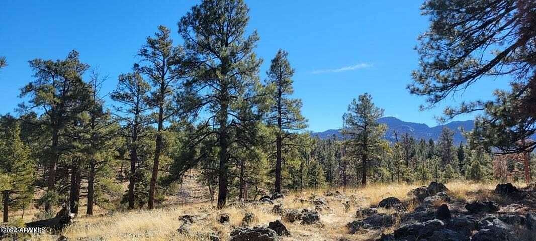 4.17 Acres of Land for Sale in Williams, Arizona