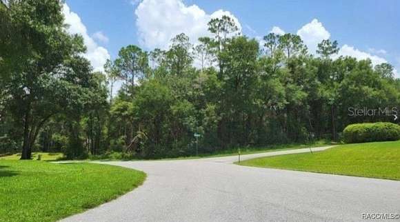 0.35 Acres of Residential Land for Sale in Dunnellon, Florida