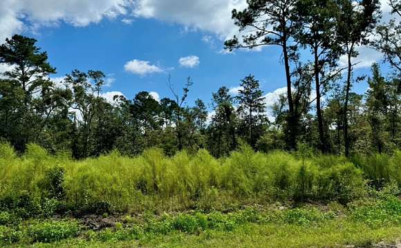 2.22 Acres of Residential Land for Sale in Jennings, Florida