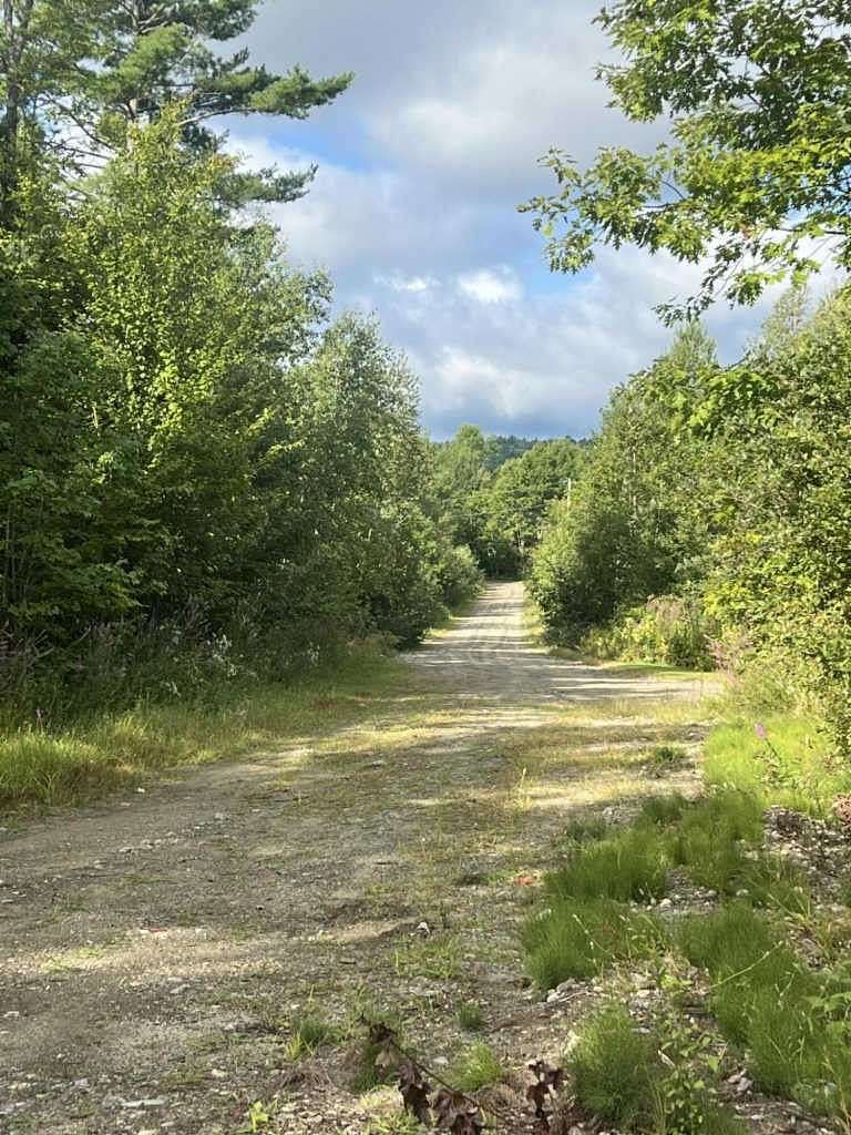 Residential Land for Sale in Wales Town, Maine