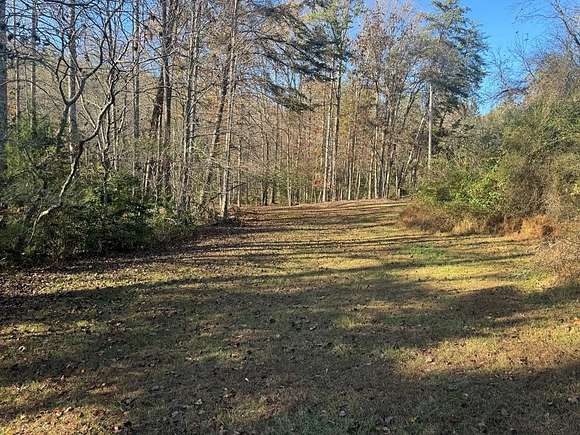 9 Acres of Recreational Land for Sale in Morganton, Georgia