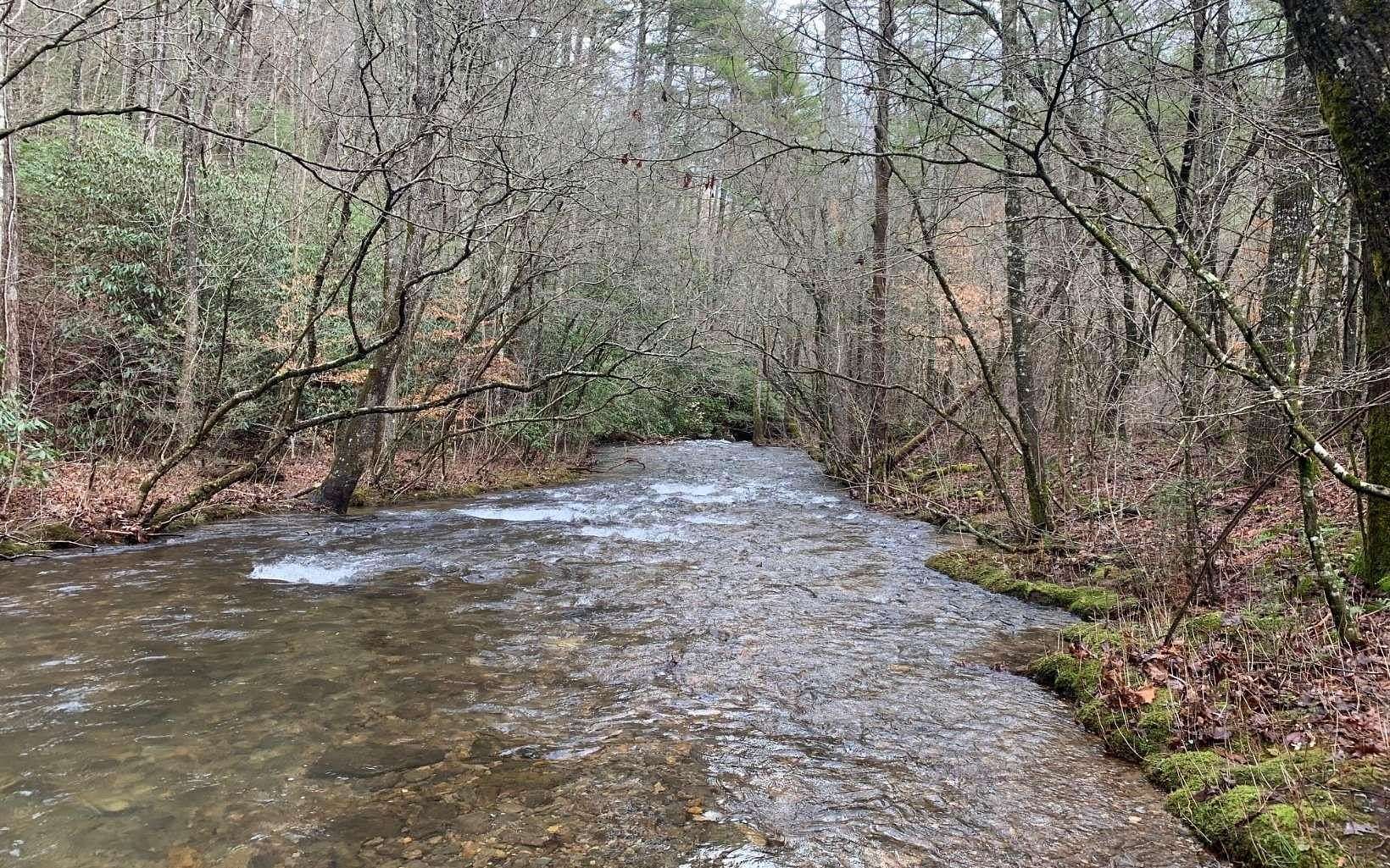 10.81 Acres of Recreational Land for Sale in Blairsville, Georgia