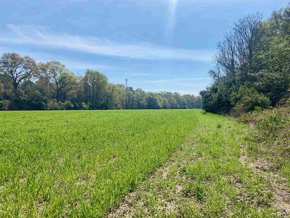 8.07 Acres of Residential Land for Sale in Byron, Georgia