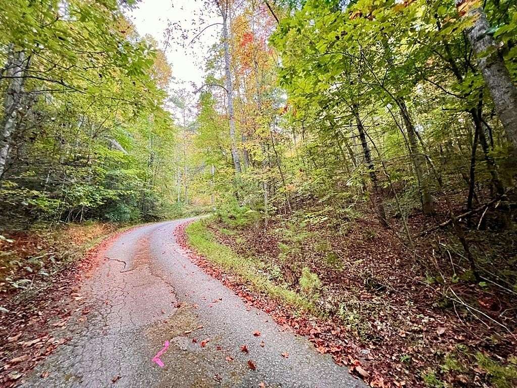 Land for Sale in Murphy, North Carolina