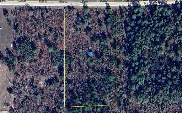 5 Acres of Land for Sale in Morriston, Florida