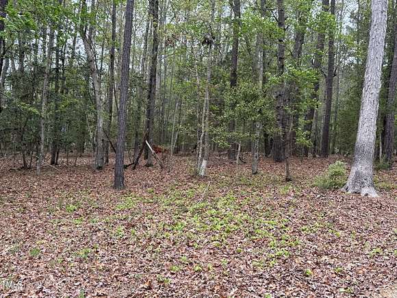 0.41 Acres of Residential Land for Sale in Louisburg, North Carolina