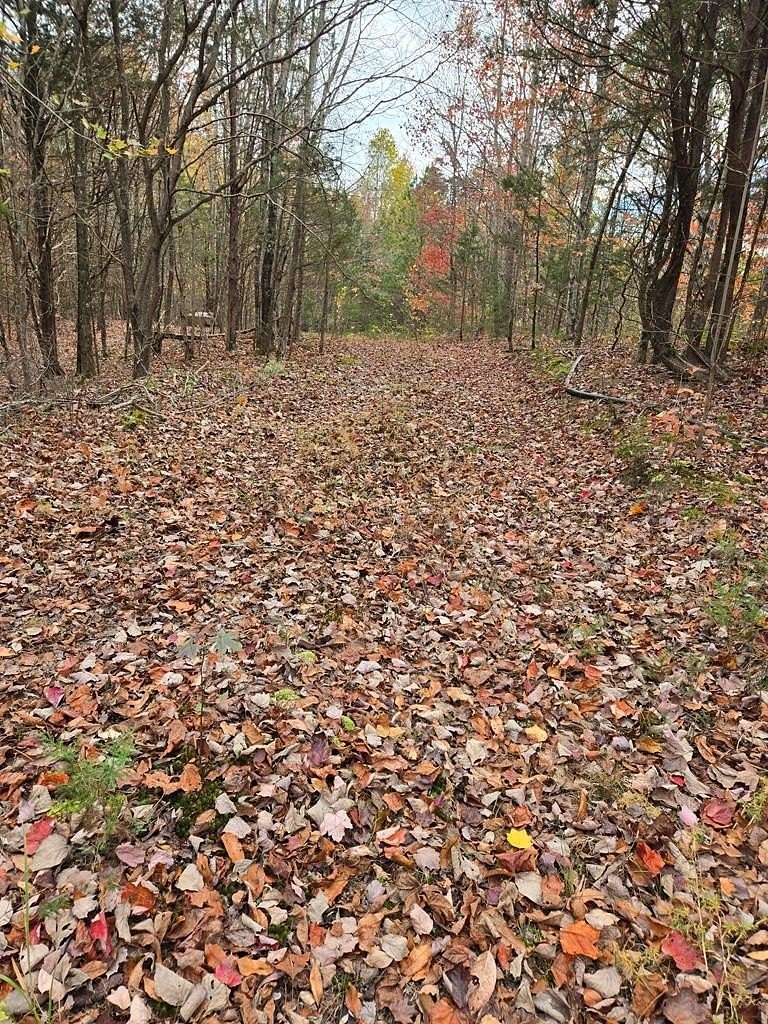 29.7 Acres of Land for Sale in Livingston, Tennessee