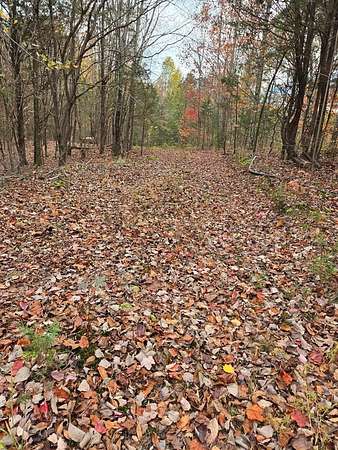 29.7 Acres of Land for Sale in Livingston, Tennessee