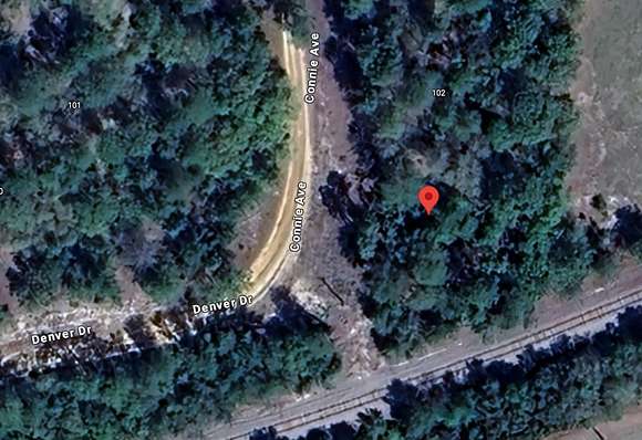 0.29 Acres of Land for Sale in Interlachen, Florida