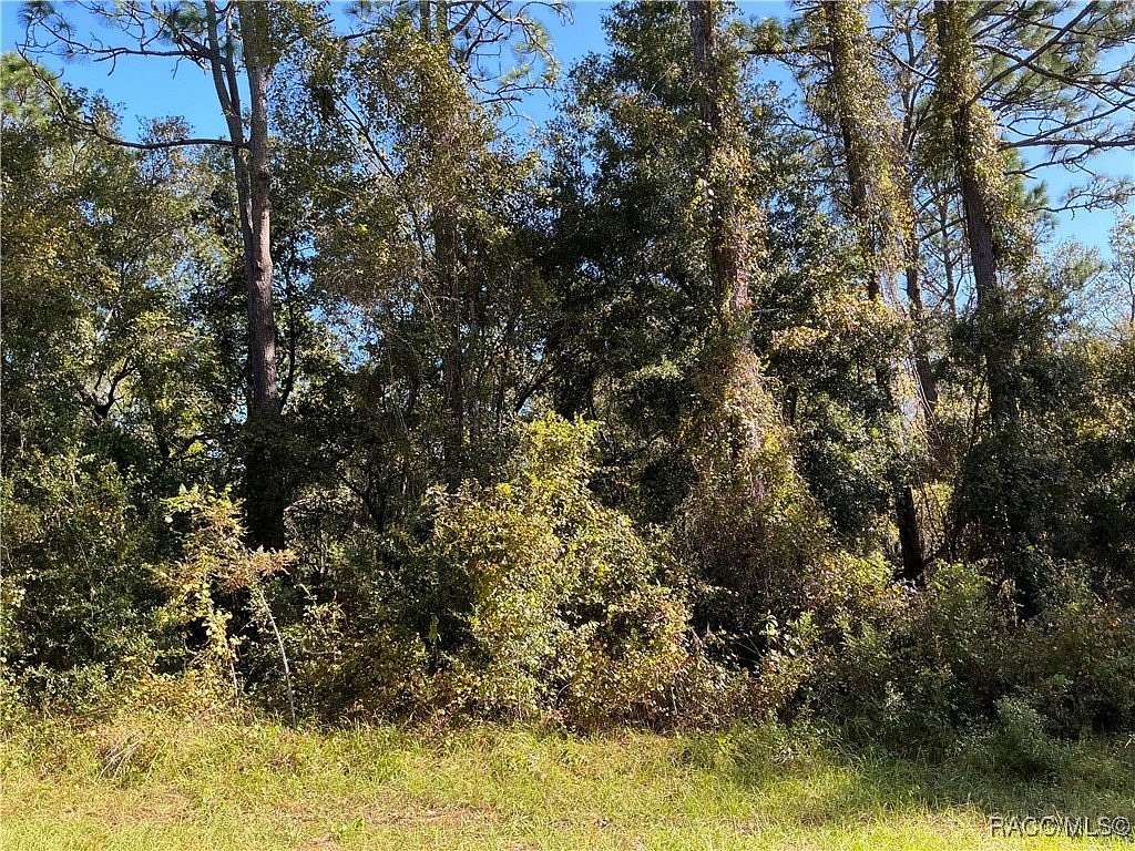 0.29 Acres of Residential Land for Sale in Citrus Springs, Florida