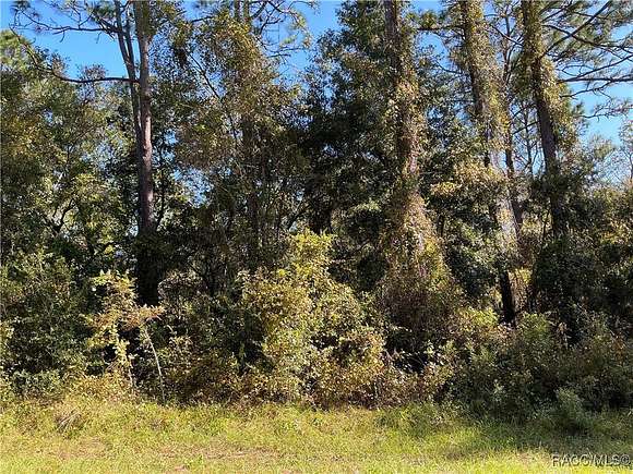 0.29 Acres of Residential Land for Sale in Citrus Springs, Florida