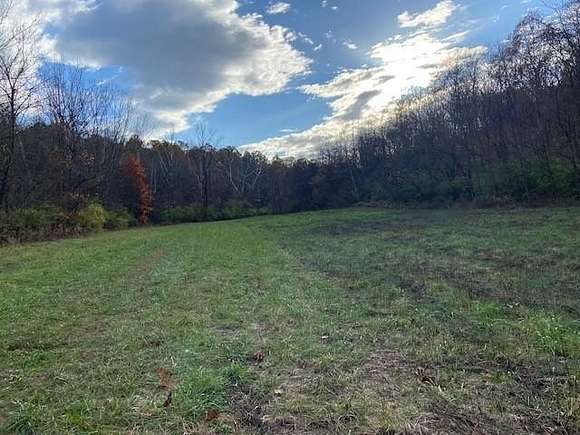 156.491 Acres of Recreational Land for Sale in Foster, Kentucky