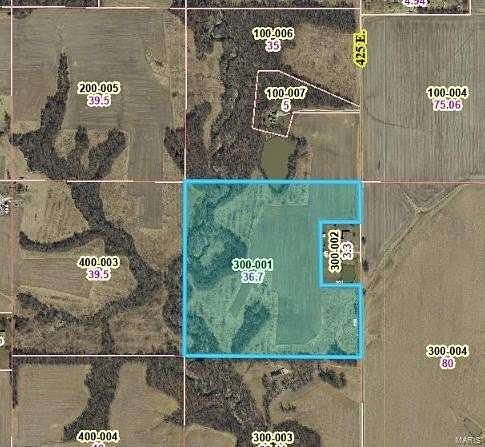 36.91 Acres of Recreational Land & Farm for Sale in Vandalia, Illinois