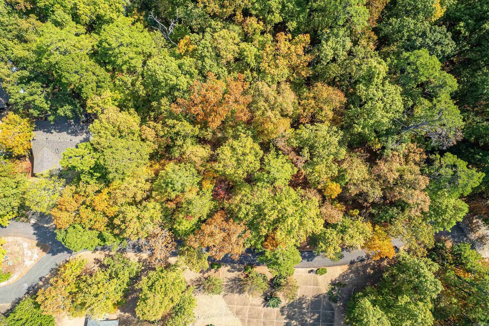 0.3 Acres of Residential Land for Sale in Hot Springs Village, Arkansas