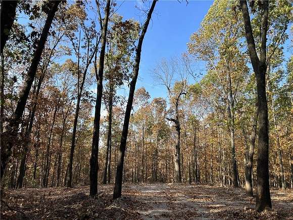 16.55 Acres of Recreational Land for Sale in Harrison, Arkansas