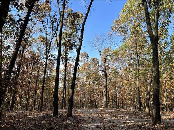 16.6 Acres of Land for Sale in Omaha, Arkansas