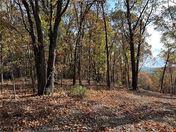 12.65 Acres of Recreational Land for Sale in Harrison, Arkansas