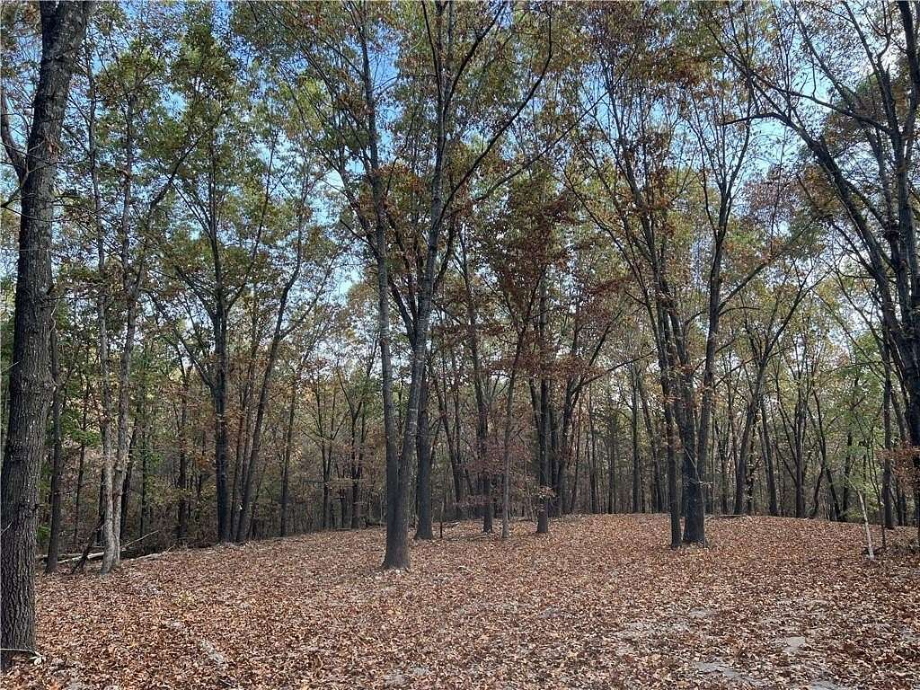 16.33 Acres of Recreational Land for Sale in Harrison, Arkansas