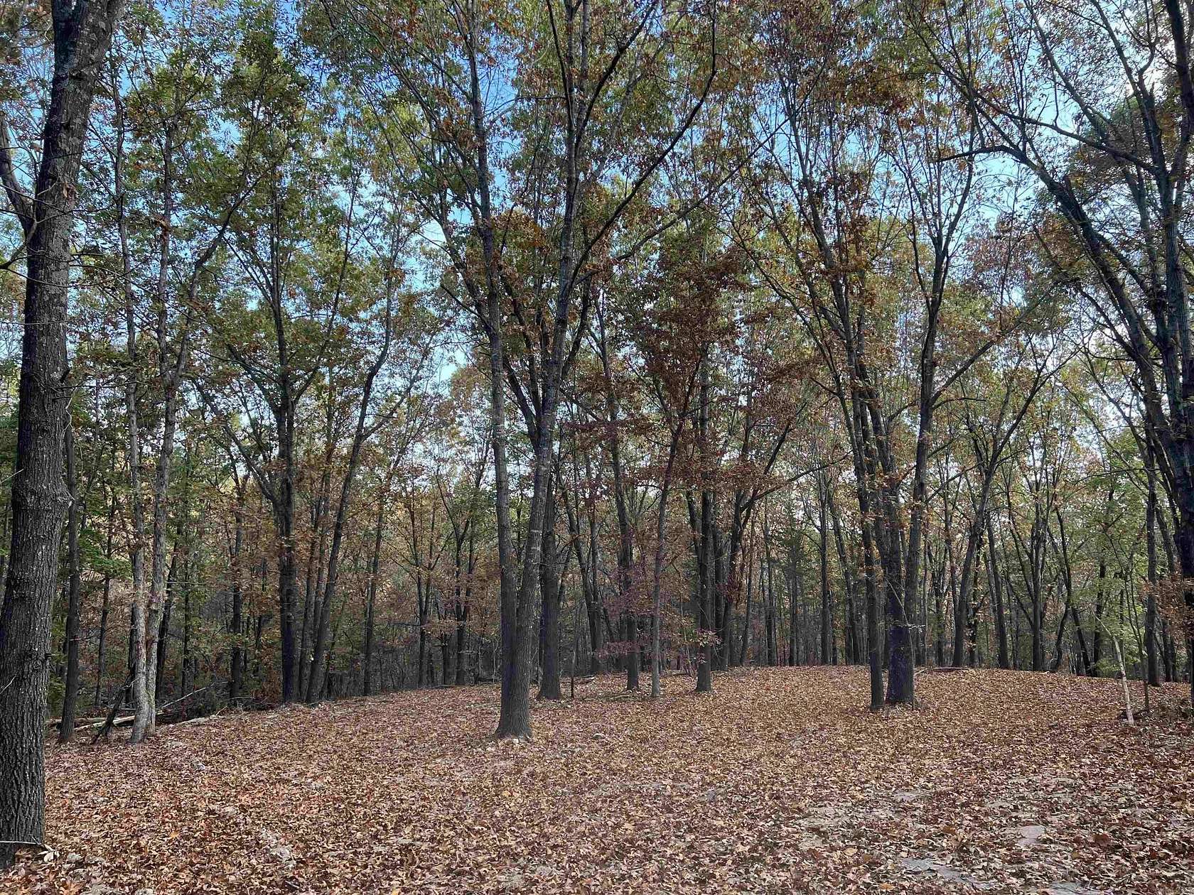16.3 Acres of Land for Sale in Omaha, Arkansas