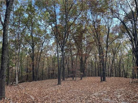 16.33 Acres of Recreational Land for Sale in Omaha, Arkansas