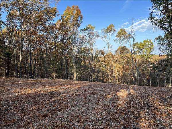 10.5 Acres of Land for Sale in Omaha, Arkansas