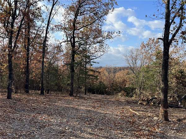10.1 Acres of Land for Sale in Omaha, Arkansas