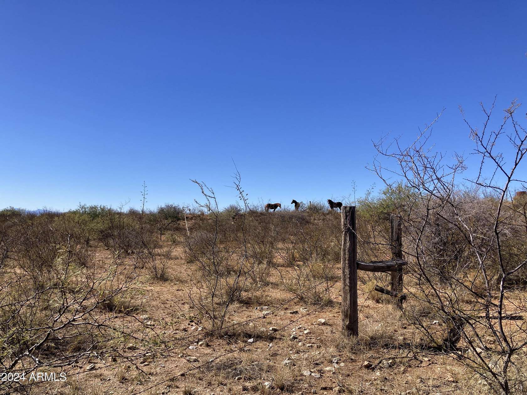 41.21 Acres of Land for Sale in Tombstone, Arizona