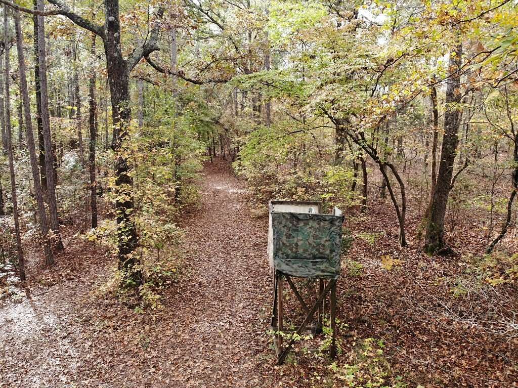 50 Acres of Recreational Land for Sale in Woodbury, Georgia