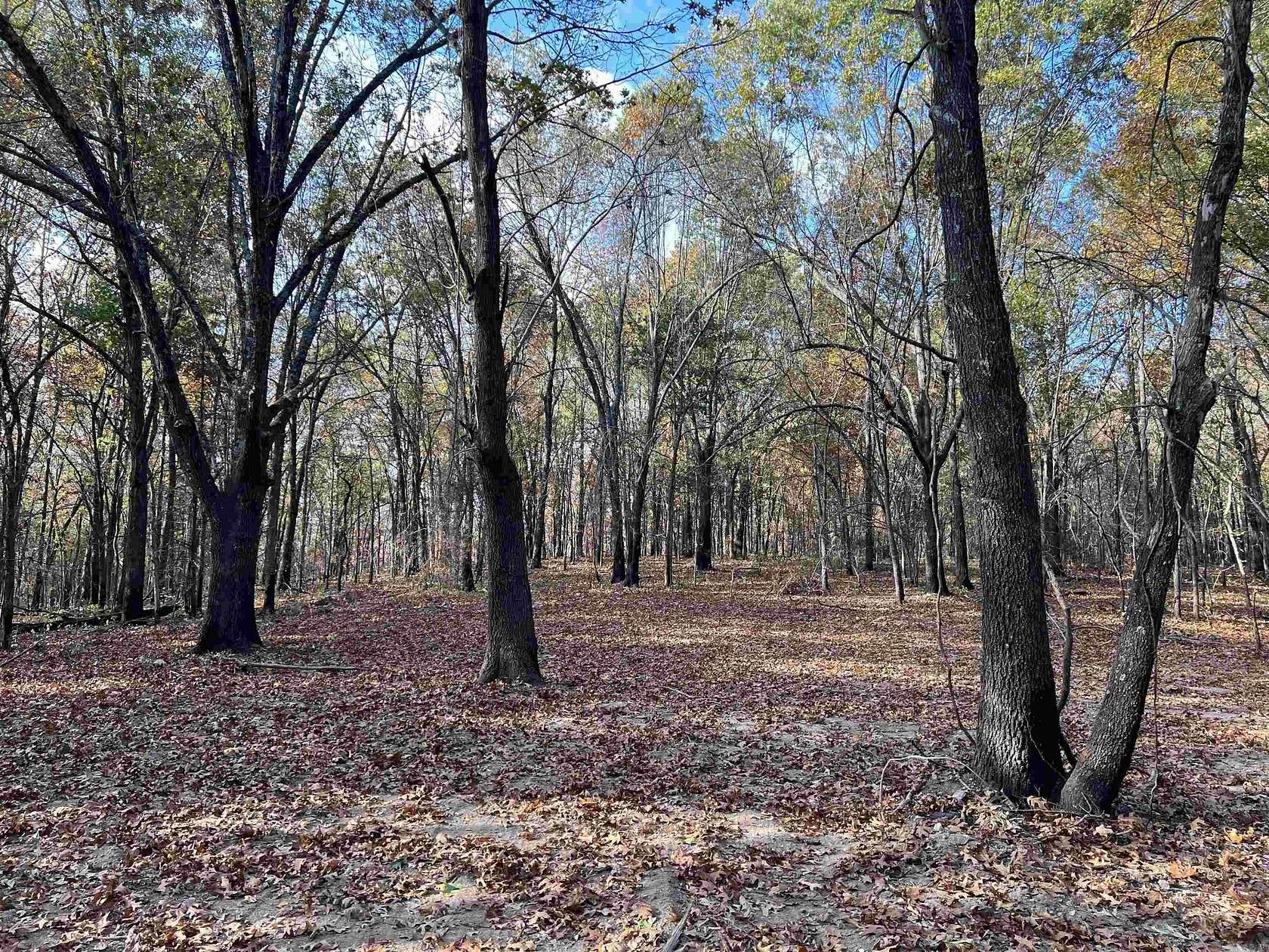 10.6 Acres of Land for Sale in Omaha, Arkansas