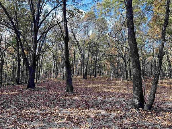 10.6 Acres of Land for Sale in Omaha, Arkansas