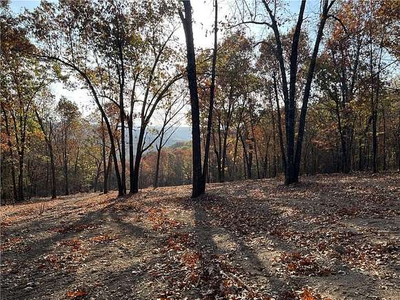 13.4 Acres of Recreational Land for Sale in Omaha, Arkansas