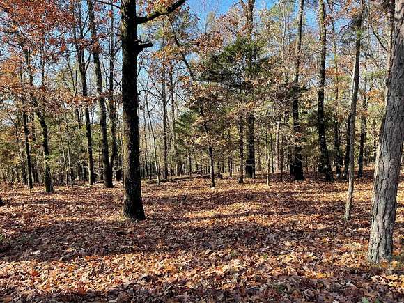 0.88 Acres of Residential Land for Sale in Fairfield Bay, Arkansas