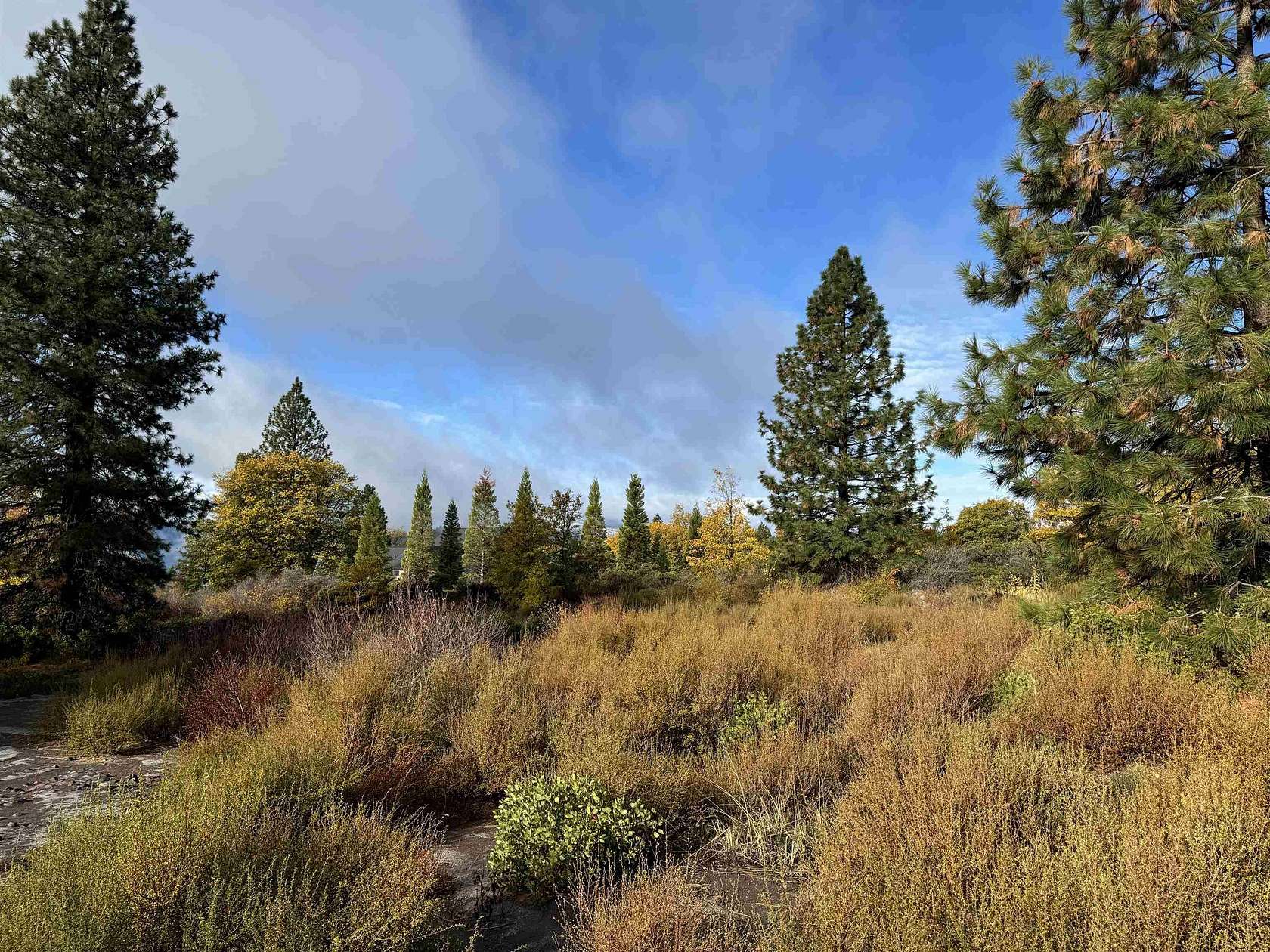 2.95 Acres of Land for Sale in Mount Shasta, California