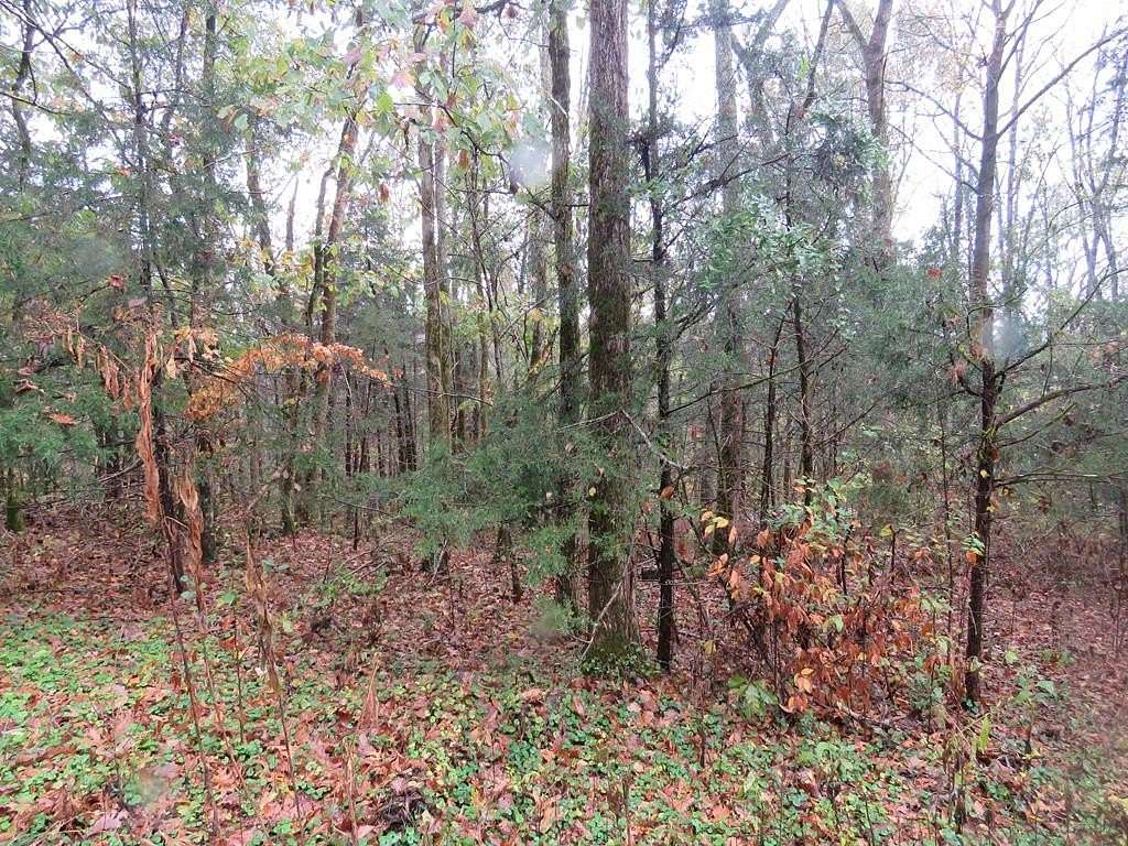 3.51 Acres of Residential Land for Sale in Gainesboro, Tennessee