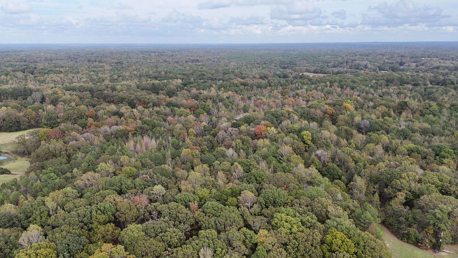 100 Acres of Land for Sale in Coila, Mississippi