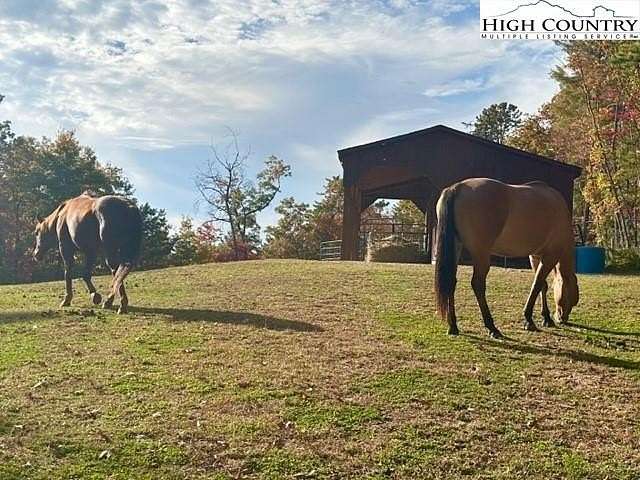 46.43 Acres of Agricultural Land for Sale in McGrady, North Carolina