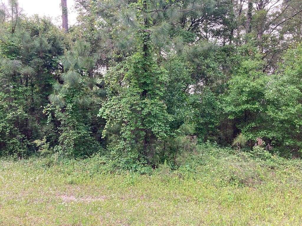 0.25 Acres of Residential Land for Sale in Carrabelle, Florida