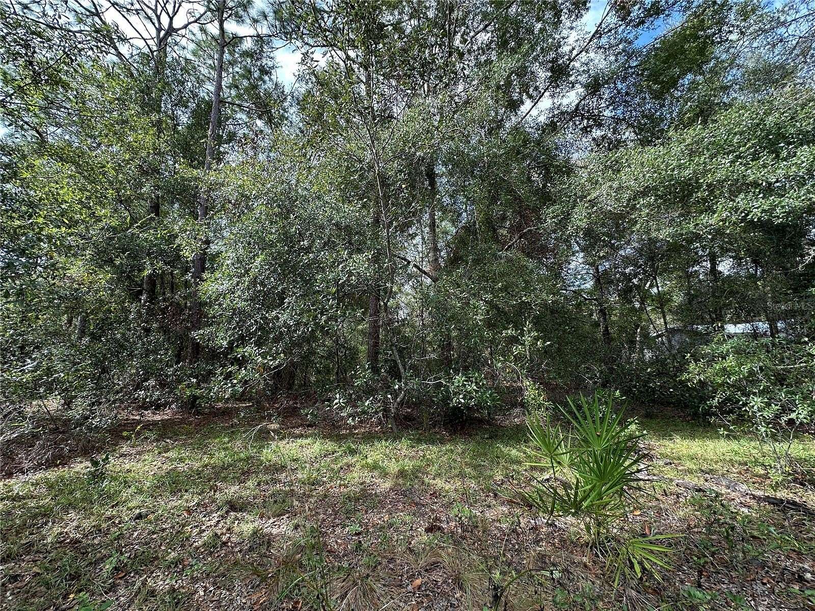 0.3 Acres of Land for Sale in Williston, Florida