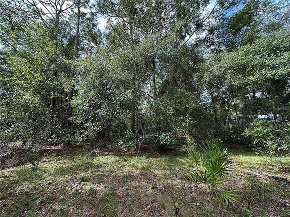 0.3 Acres of Land for Sale in Williston, Florida