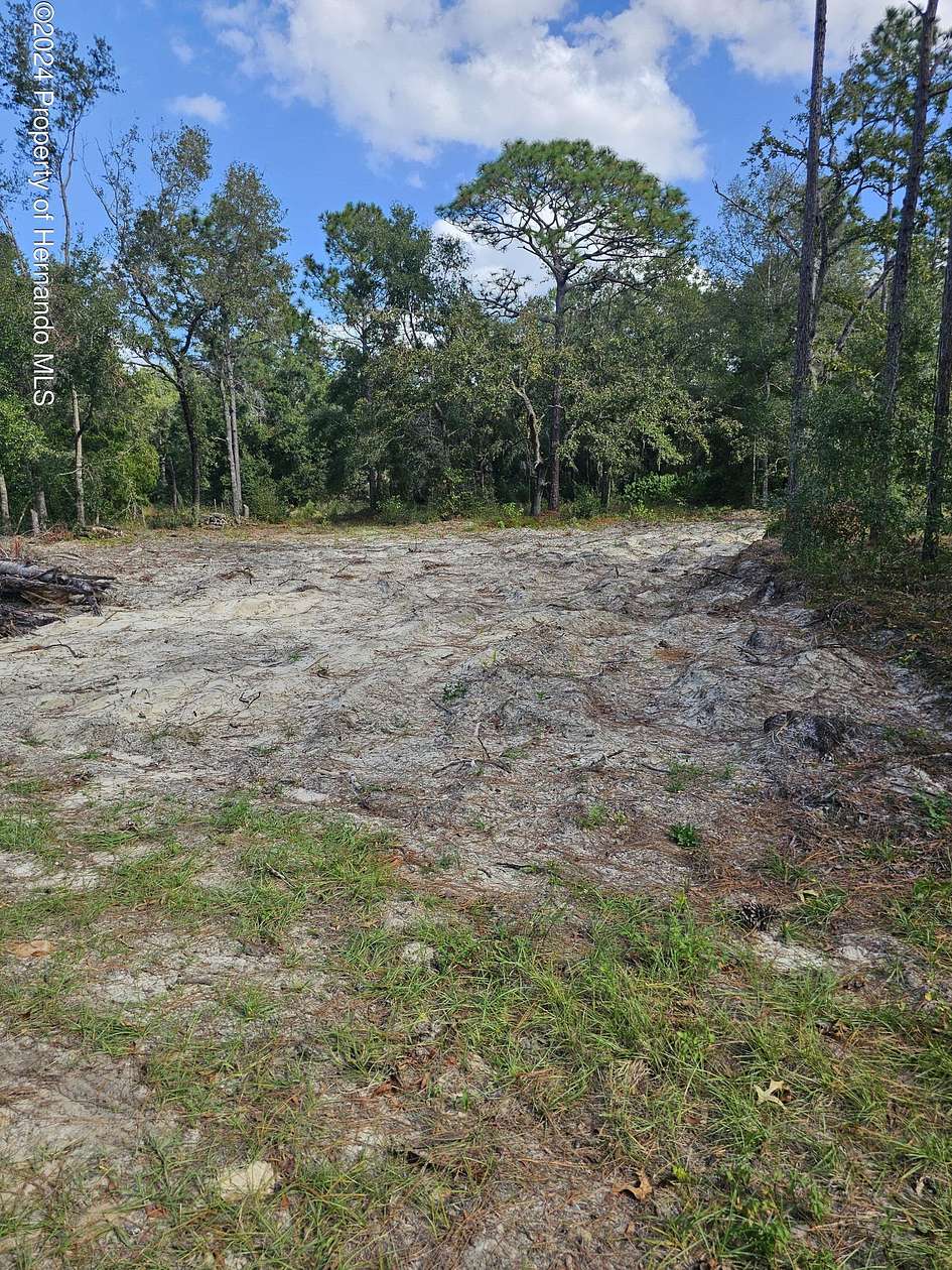 0.49 Acres of Residential Land for Sale in Weeki Wachee, Florida