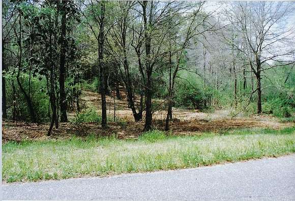 8.95 Acres of Residential Land for Sale in Headland, Alabama