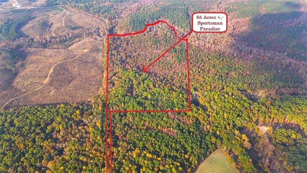64.9 Acres of Recreational Land for Sale in Buchanan, Georgia