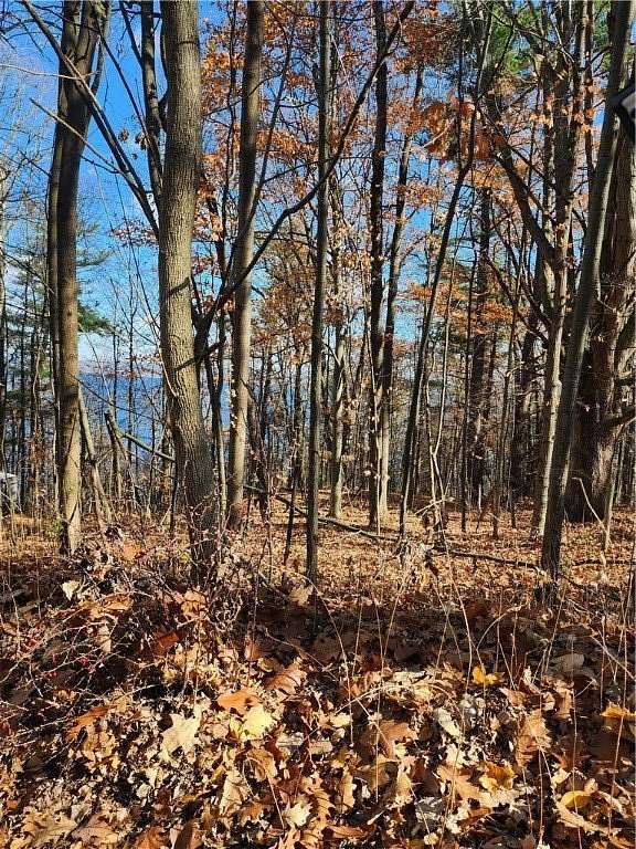 1.4 Acres of Land for Sale in Romulus, New York