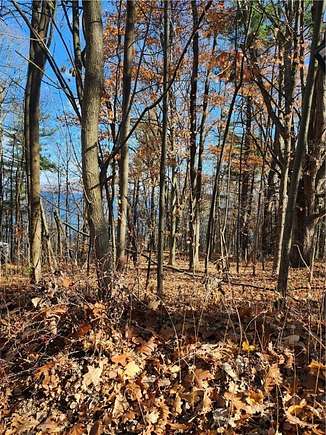 1.4 Acres of Land for Sale in Romulus, New York