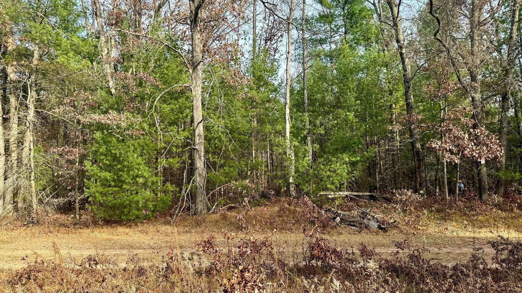 1.1 Acres of Residential Land for Sale in Baldwin, Michigan