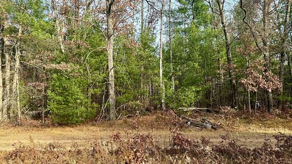 1.1 Acres of Residential Land for Sale in Baldwin, Michigan