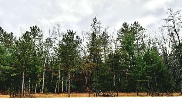 1 Acre of Land for Sale in Baldwin, Michigan