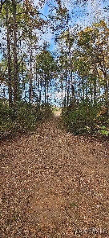 40 Acres of Recreational Land for Sale in Prattville, Alabama